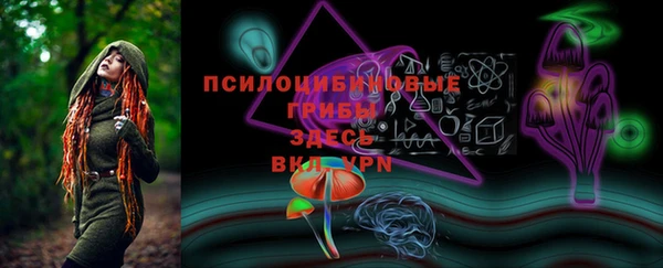 СК Горно-Алтайск