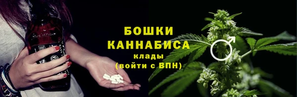СК Горно-Алтайск