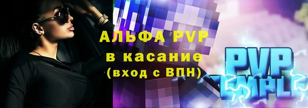 СК Горно-Алтайск