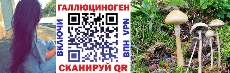 Купить закладки  Радужный  Галлюциногенные грибы Psilocybe 