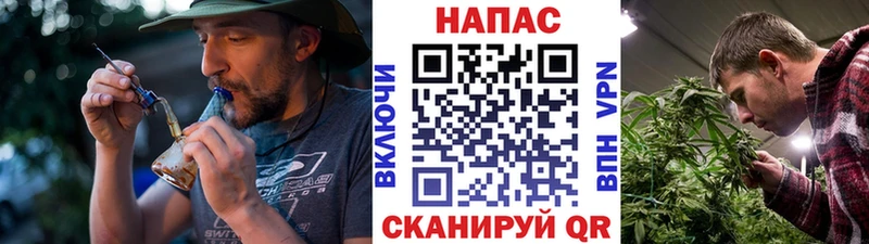 Бошки Шишки семена Радужный