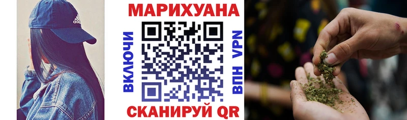 Купить где  Радужный  МАРИХУАНА сатива 